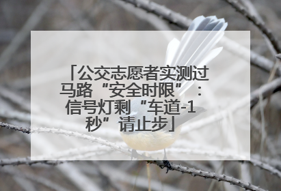 公交志愿者实测过马路“安全时限”：信号灯剩“车道-1秒”请止步