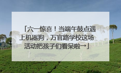 六一惊喜！当端午鼓点遇上机器狗，万官路学校这场活动把孩子们看呆啦→