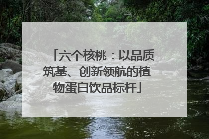 六个核桃：以品质筑基、创新领航的植物蛋白饮品标杆