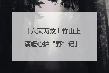 六天两救！竹山上演暖心护“野”记