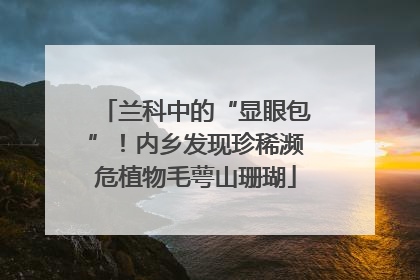兰科中的“显眼包”！内乡发现珍稀濒危植物毛萼山珊瑚