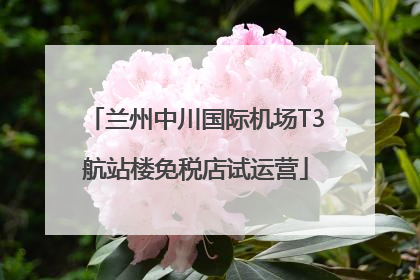 兰州中川国际机场T3航站楼免税店试运营