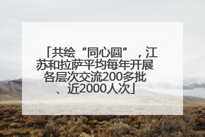共绘“同心圆”，江苏和拉萨平均每年开展各层次交流200多批、近2000人次