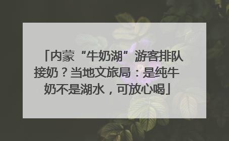 内蒙“牛奶湖”游客排队接奶？当地文旅局：是纯牛奶不是湖水，可放心喝