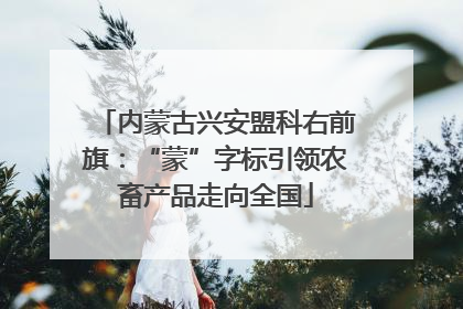 内蒙古兴安盟科右前旗：“蒙”字标引领农畜产品走向全国