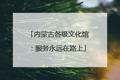 内蒙古各级文化馆：服务永远在路上