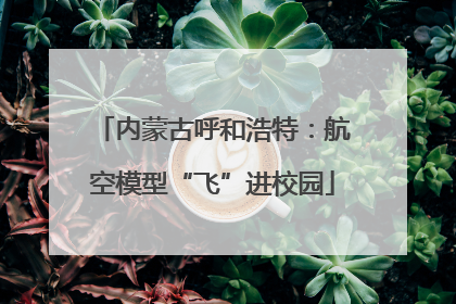 内蒙古呼和浩特：航空模型“飞”进校园