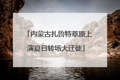 内蒙古扎鲁特草原上演夏日转场大迁徙