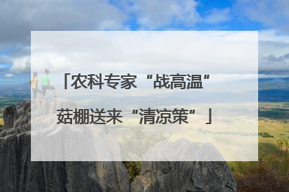农科专家“战高温” 菇棚送来“清凉策”