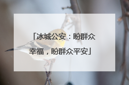 冰城公安：盼群众幸福，盼群众平安