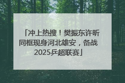 冲上热搜！樊振东许昕同框现身河北雄安，备战2025乒超联赛