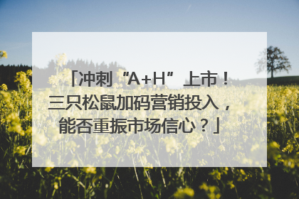 冲刺“A+H”上市！三只松鼠加码营销投入，能否重振市场信心？