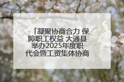 凝聚协商合力 保障职工权益 大通县举办2025年度职代会暨工资集体协商现场观摩交流活动