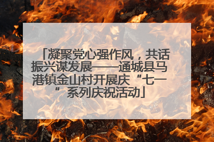 凝聚党心强作风，共话振兴谋发展——通城县马港镇金山村开展庆“七一”系列庆祝活动