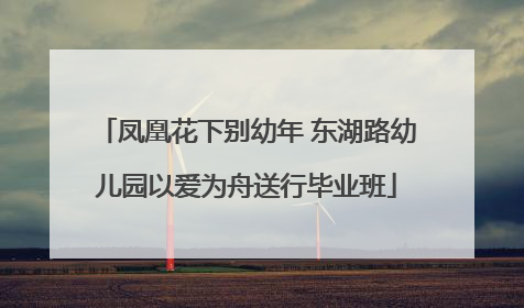 凤凰花下别幼年 东湖路幼儿园以爱为舟送行毕业班
