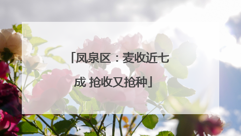 凤泉区：麦收近七成 抢收又抢种