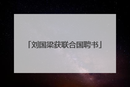 刘国梁获联合国聘书