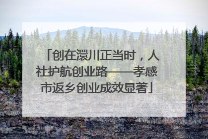 创在澴川正当时，人社护航创业路——孝感市返乡创业成效显著