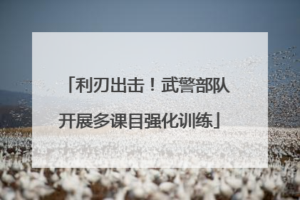 利刃出击！武警部队开展多课目强化训练