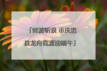 劈波斩浪 重庆忠县龙舟竞渡迎端午