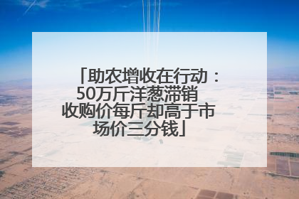 助农增收在行动：50万斤洋葱滞销 收购价每斤却高于市场价三分钱
