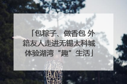包粽子、做香包 外籍友人走进无锡太科城体验湖湾“趣”生活