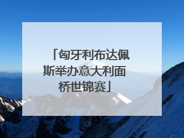 匈牙利布达佩斯举办意大利面桥世锦赛