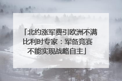 北约涨军费引欧洲不满 比利时专家：军备竞赛不能实现战略自主