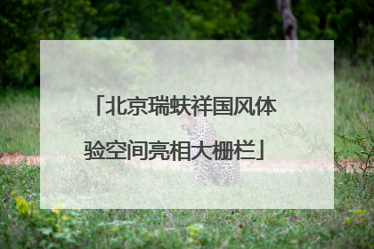 北京瑞蚨祥国风体验空间亮相大栅栏