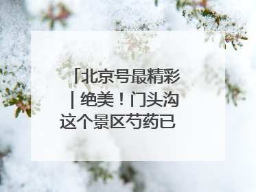 北京号最精彩｜绝美！门头沟这个景区芍药已花开成海