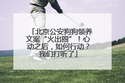 北京公安狗狗领养文案“火出圈”！心动之后，如何行动？我们打听了