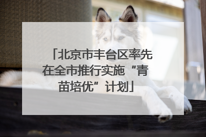 北京市丰台区率先在全市推行实施“青苗培优”计划