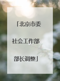 北京市委社会工作部部长调整