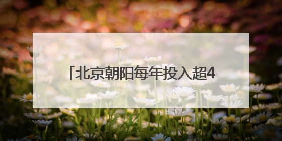 北京朝阳每年投入超40亿元资金助企业发展