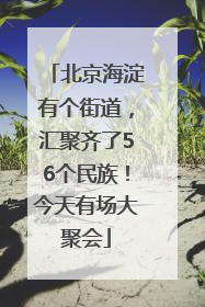 北京海淀有个街道，汇聚齐了56个民族！今天有场大聚会