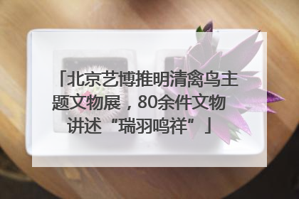 北京艺博推明清禽鸟主题文物展，80余件文物讲述“瑞羽鸣祥”