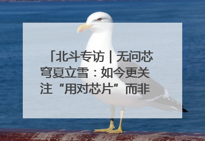 北斗专访｜无问芯穹夏立雪：如今更关注“用对芯片”而非“用贵芯片”