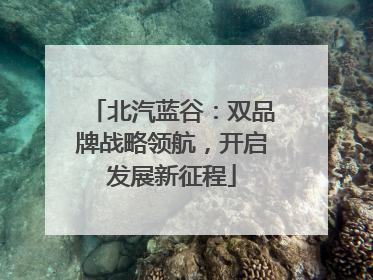 北汽蓝谷：双品牌战略领航，开启发展新征程