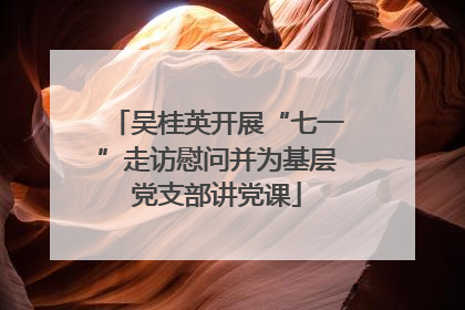吴桂英开展“七一”走访慰问并为基层党支部讲党课