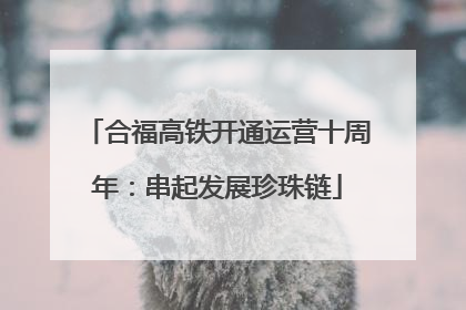 合福高铁开通运营十周年：串起发展珍珠链