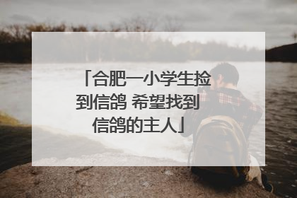 合肥一小学生捡到信鸽 希望找到信鸽的主人