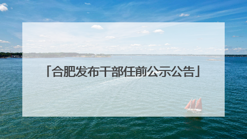 合肥发布干部任前公示公告