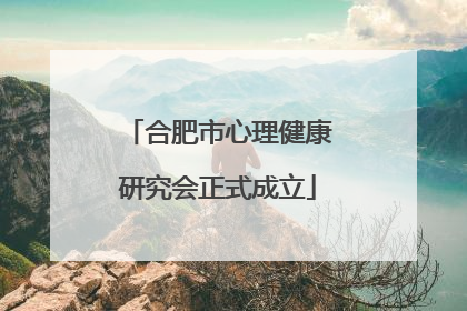 合肥市心理健康研究会正式成立