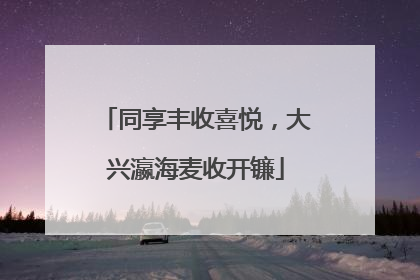 同享丰收喜悦，大兴瀛海麦收开镰