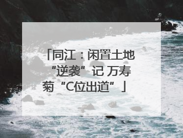 同江：闲置土地“逆袭”记 万寿菊“C位出道”