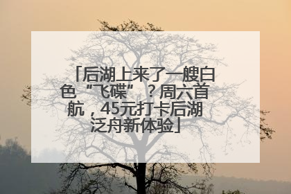 后湖上来了一艘白色“飞碟”？周六首航，45元打卡后湖泛舟新体验