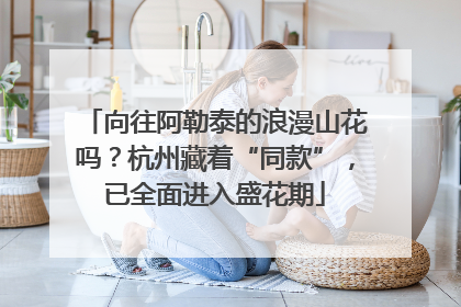 向往阿勒泰的浪漫山花吗？杭州藏着“同款”，已全面进入盛花期