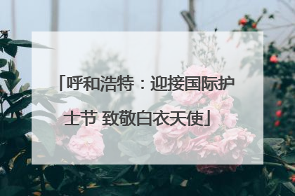 呼和浩特：迎接国际护士节 致敬白衣天使