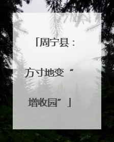 周宁县：方寸地变“增收园”