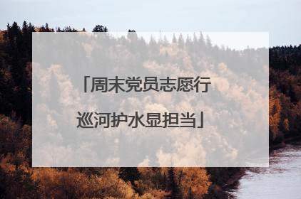 周末党员志愿行 巡河护水显担当